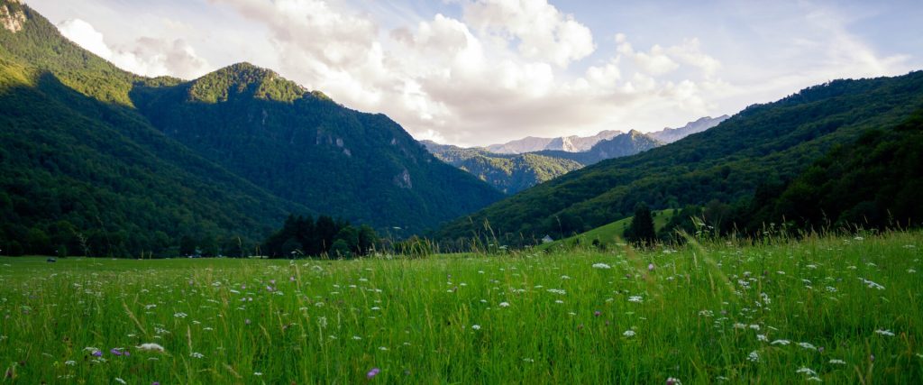 our mission our mission